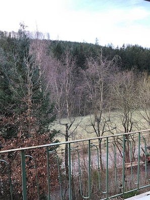 Lägenhet - balkong - utsikt mot trädgården | Utsikt från rummet