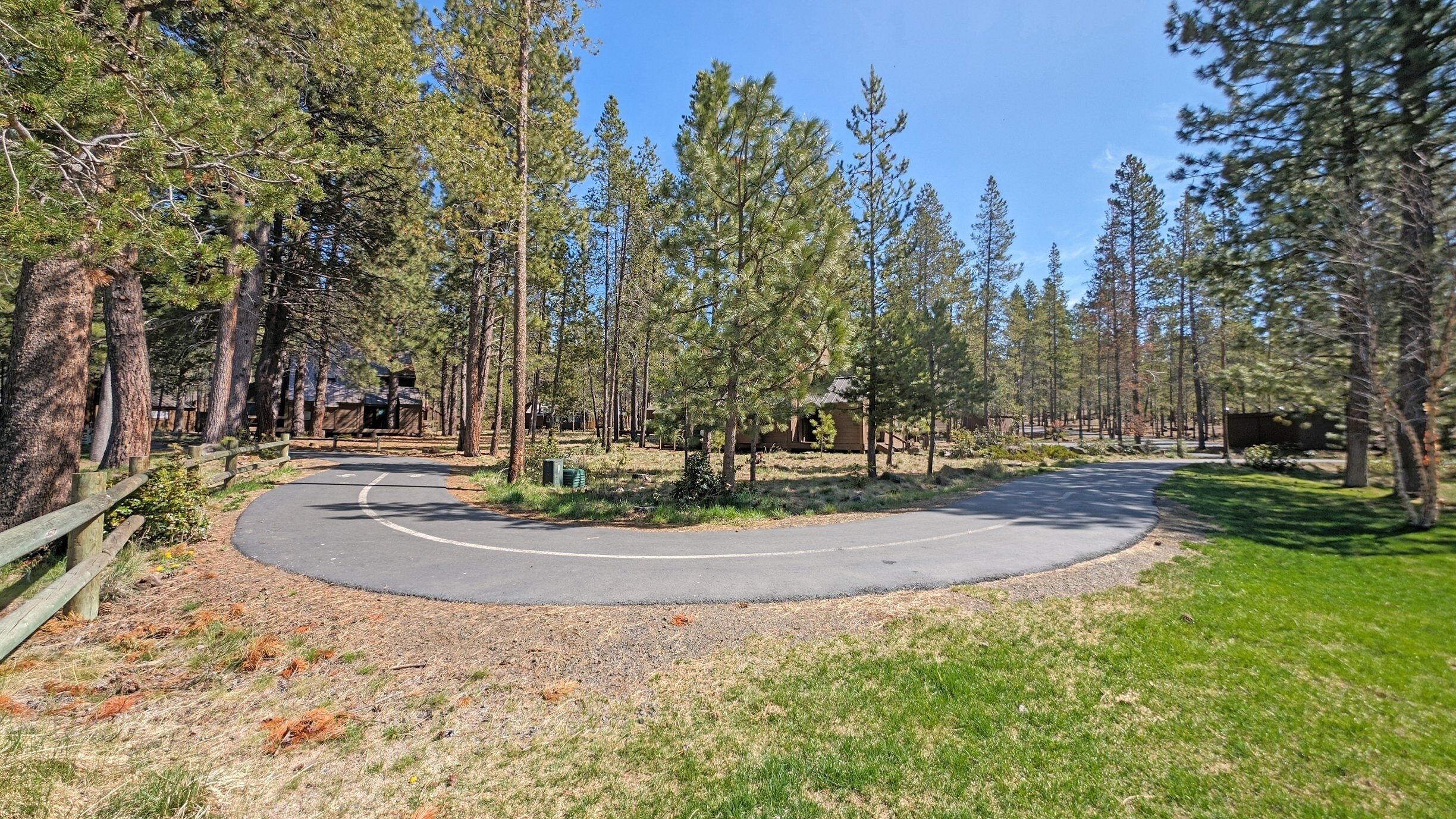 A campground with a winding road, surrounded by tall pine trees and a clear blue sky.