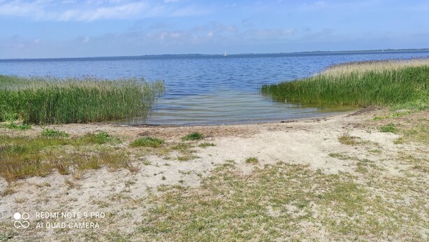 Ein Strand mit klarem Wasser, sandigem Ufer und hohem Gras.