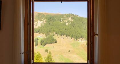 Apartment '3' mit Seeblick, Gemeinschaftsgarten und WLAN