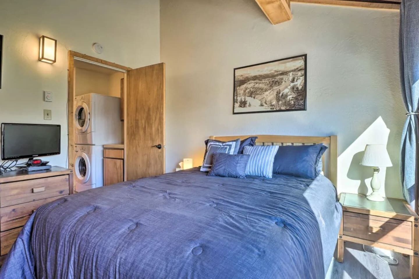 A bedroom with a bed, a television, a washing machine, and a painting on the wall.