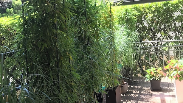 未分类图片，第 1 张，共 52 张，按钮