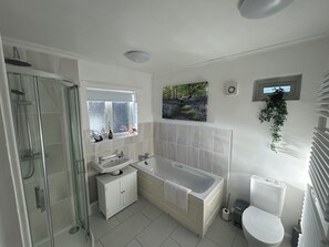 Shower, hair dryer