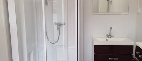 A modern bathroom with a glass-enclosed shower, a white sink, a dark vanity, and a mirror above the sink.