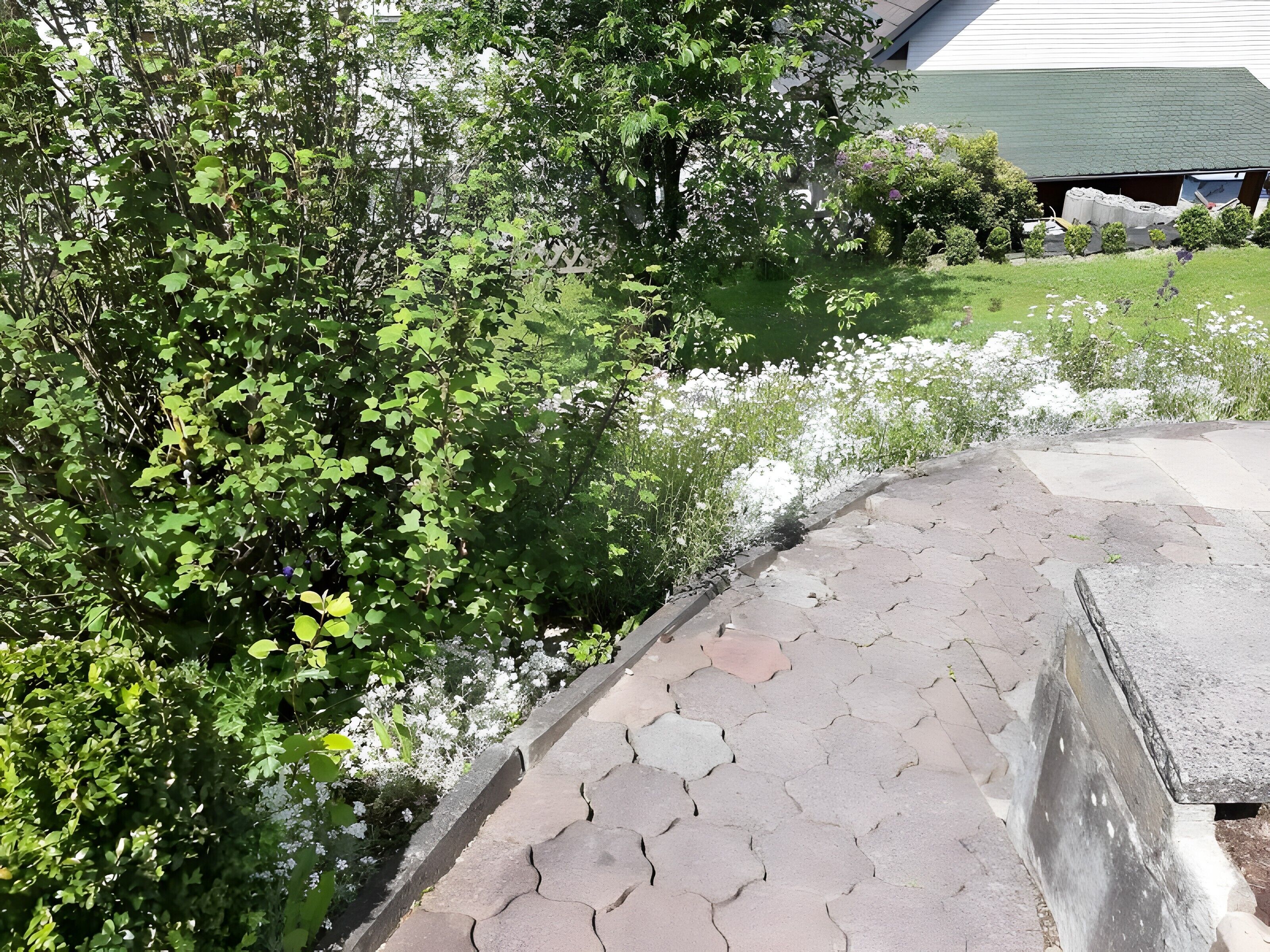 Áreas de la propiedad