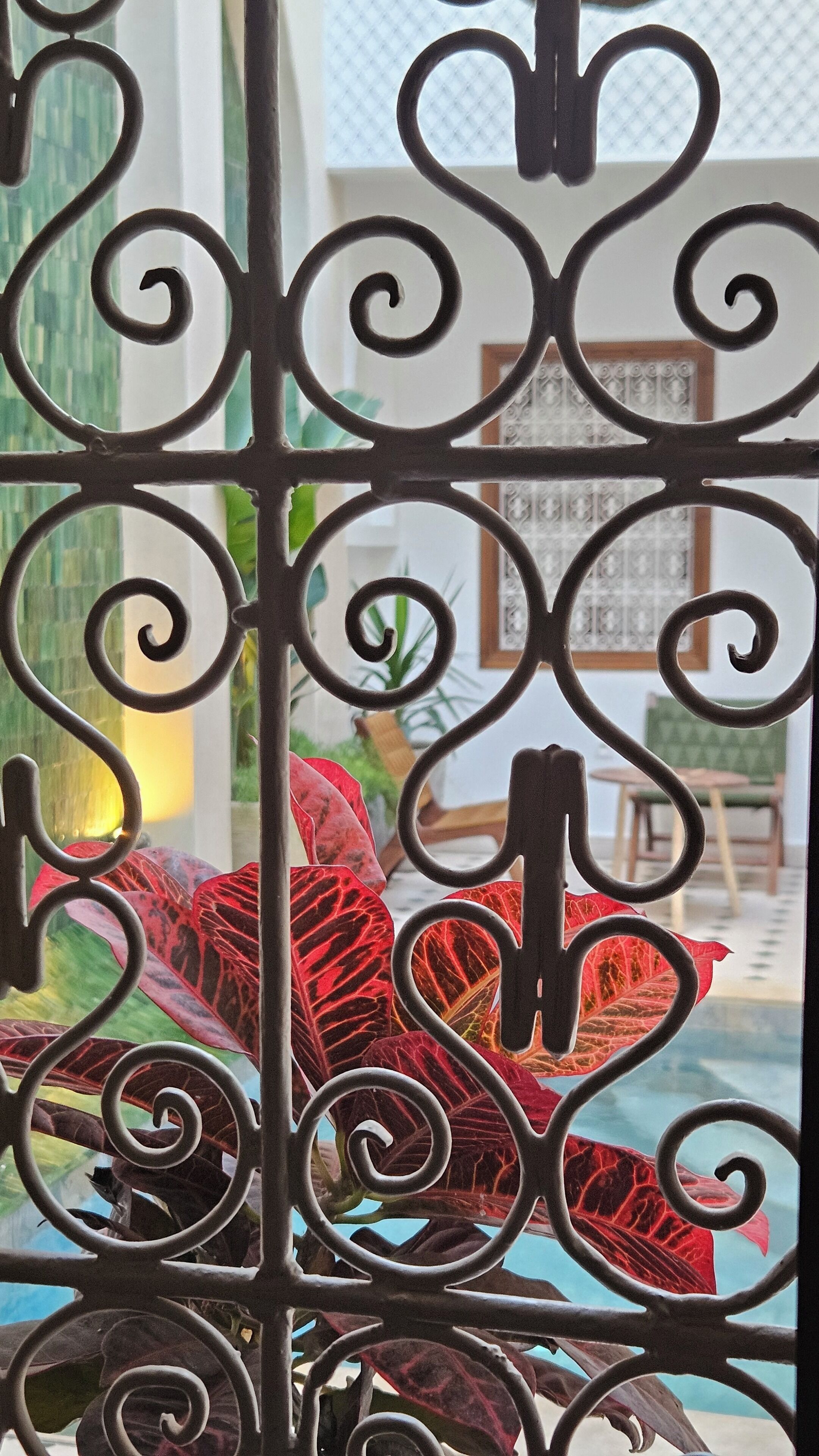 A wrought iron gate with a decorative design, a view of indoor plants, and a glimpse of a room with a patterned wall and furniture.