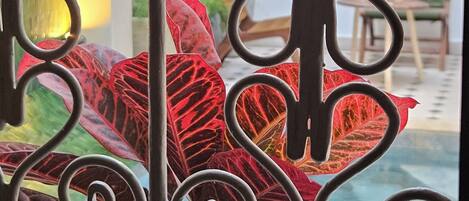 A wrought iron gate with a decorative design, a view of indoor plants, and a glimpse of a room with a patterned wall and furniture.