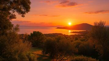 A sunset over a coastal landscape with trees and a body of water.