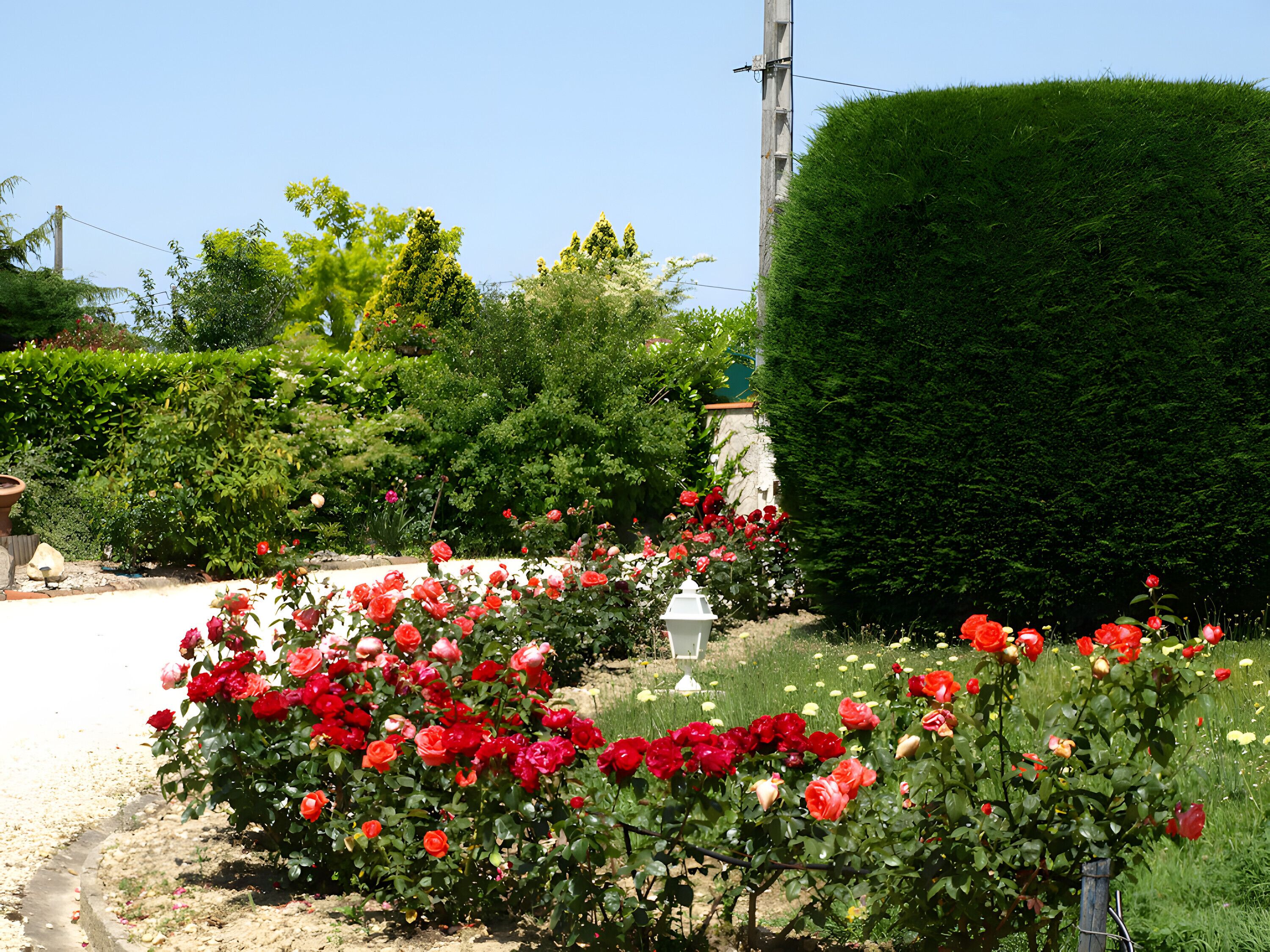 Overnatningsstedets område