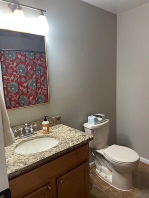 Une salle de bain avec un lavabo sur un plan de travail en granit, un miroir orné d’un papier peint à motifs floraux, des toilettes et une serviette suspendue sur le côté gauche.