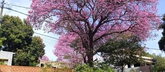 Room-taguato B&B Habitación 02 - Asunció