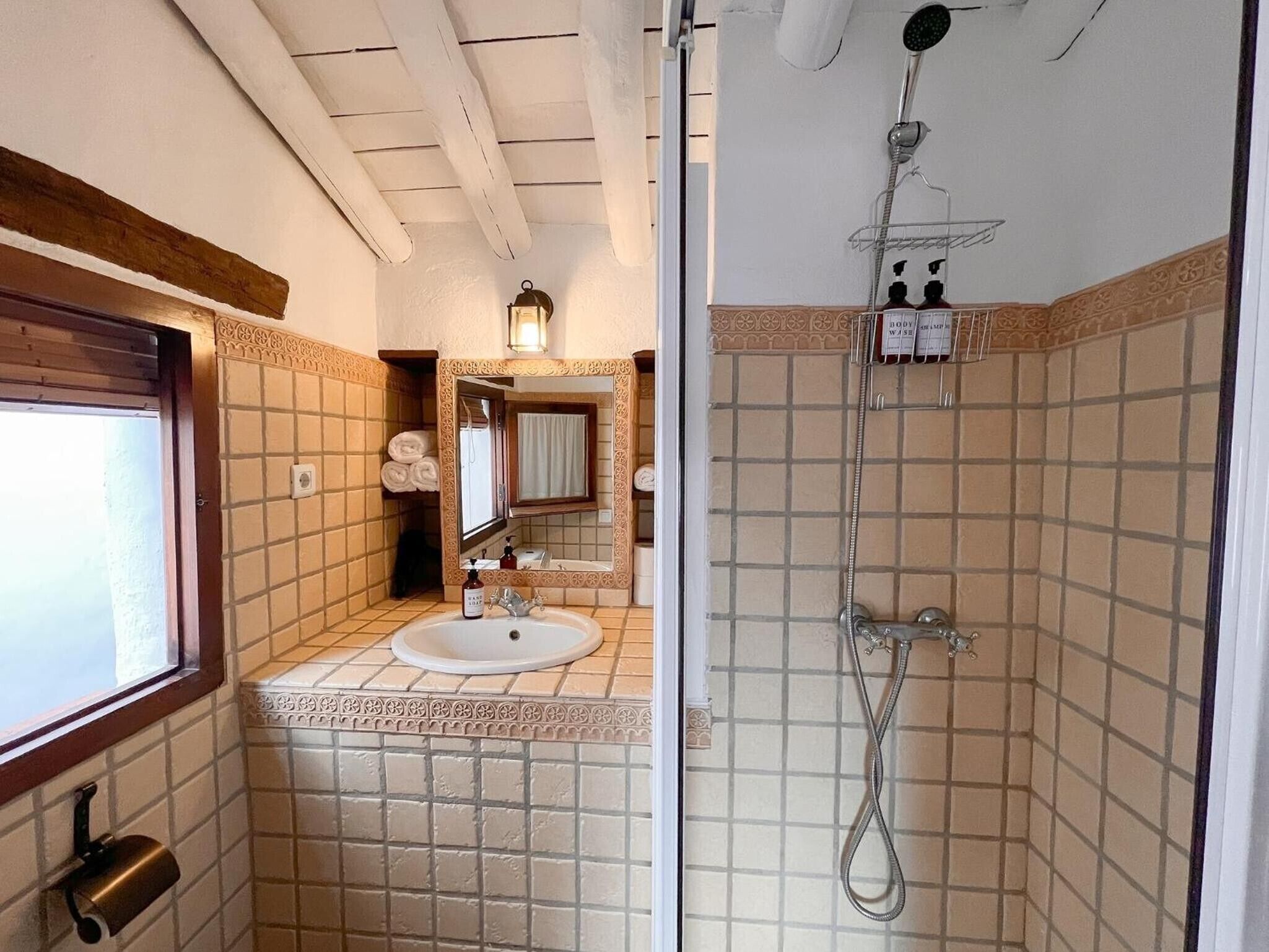 Shower, hair dryer, towels
