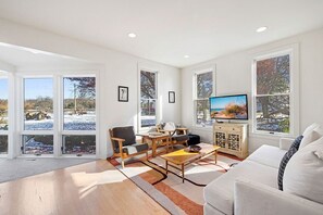 تلفزيون، مدفأة