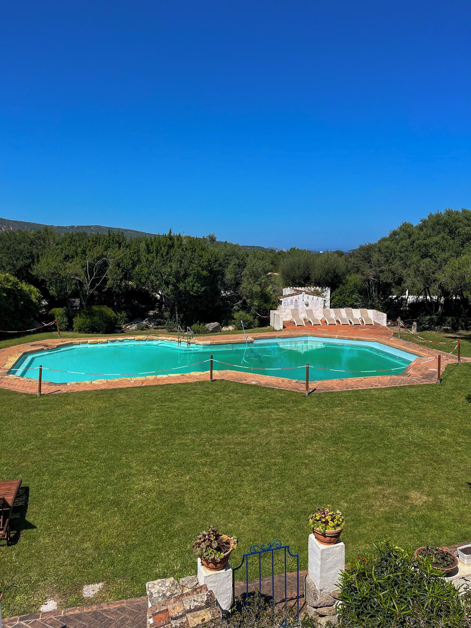A rectangular swimming pool with a surrounding brick deck, surrounded by a grassy area and trees.