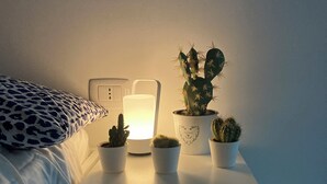 Een nachtkastje met een lamp, een cactus en een kussen.