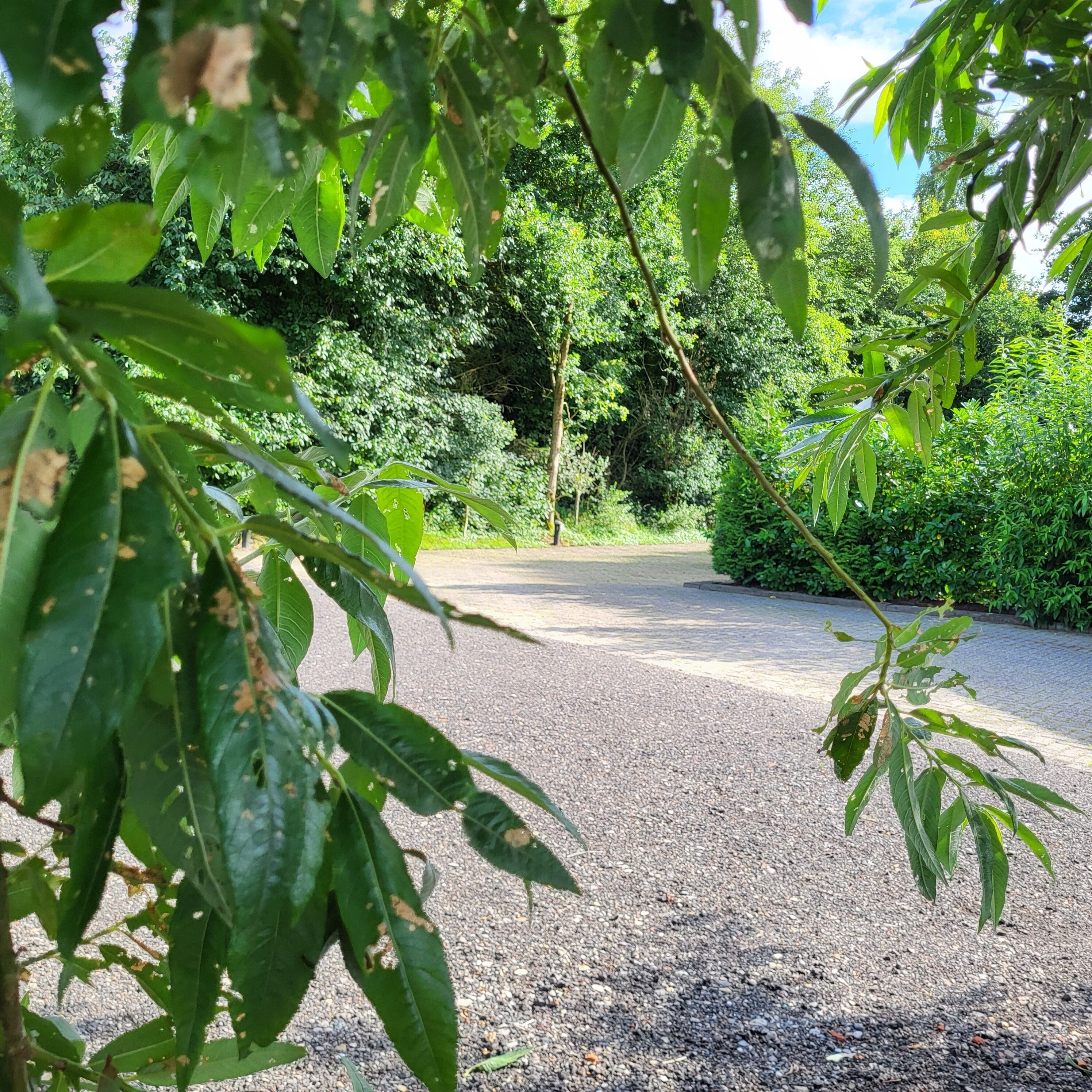 Overnatningsstedets område