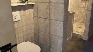 Shower, towels, toilet paper