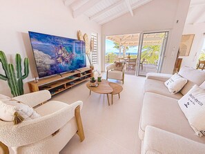 TV