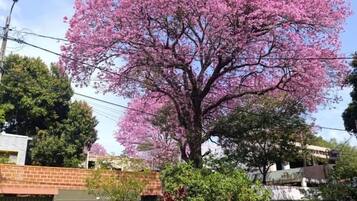 Room, 1 Bedroom, Smoking, Patio | Property grounds