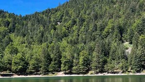 Un lac aux eaux limpides, entouré d’une forêt dense.