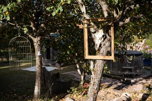 Un árbol con un marco de madera y una jaula colgando de él.