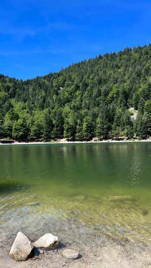 Miscellaneous - Guest Room “Épicéa” with Private Bathroom, Shared Terrace, Wi-Fi & Air Conditioning (Champdray)