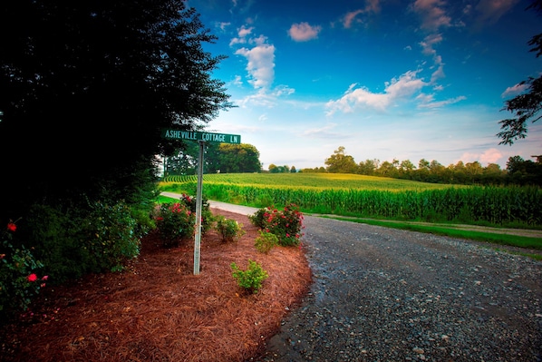 Une route de campagne avec un panneau indiquant « Chemin de la maison Ashville ».