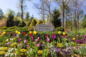 Property grounds - Bradford Cottage • Peaceful & Immaculate (Asheville)