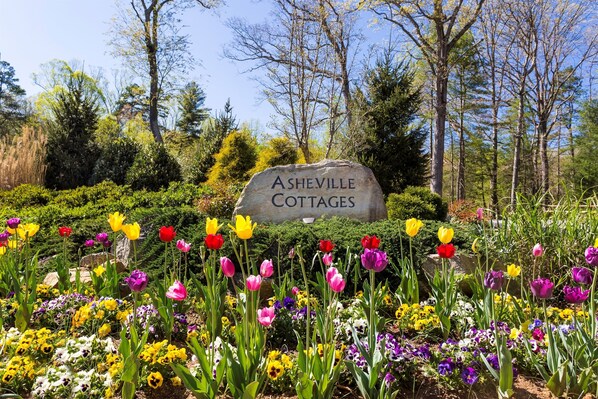 Property grounds - Cypress Cottage • Quiet Retreat w/ Hot Tub (Asheville)