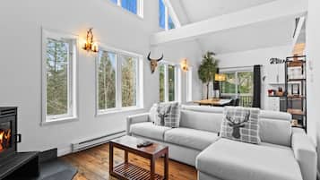 Televisión y chimenea