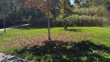 Overnatningsstedets område