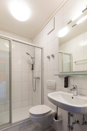 Shower, hair dryer, towels, soap - NECKARWESTHEIMER Hotel (Neckarwestheim)