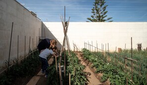 Jardines del alojamiento