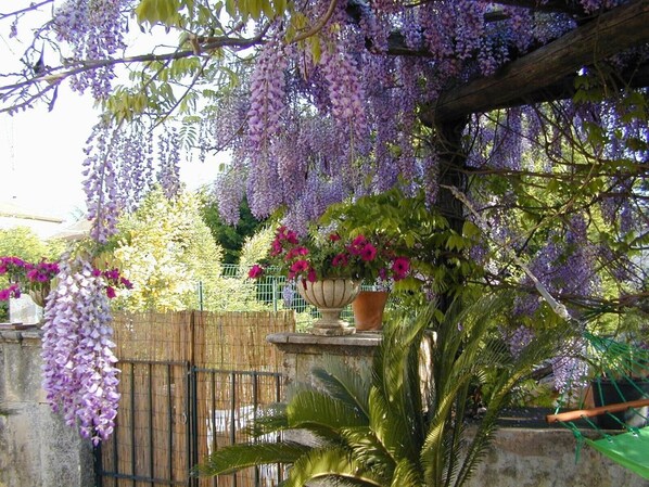 Parco della struttura