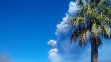 DĂ©tail de lâextĂ©rieur