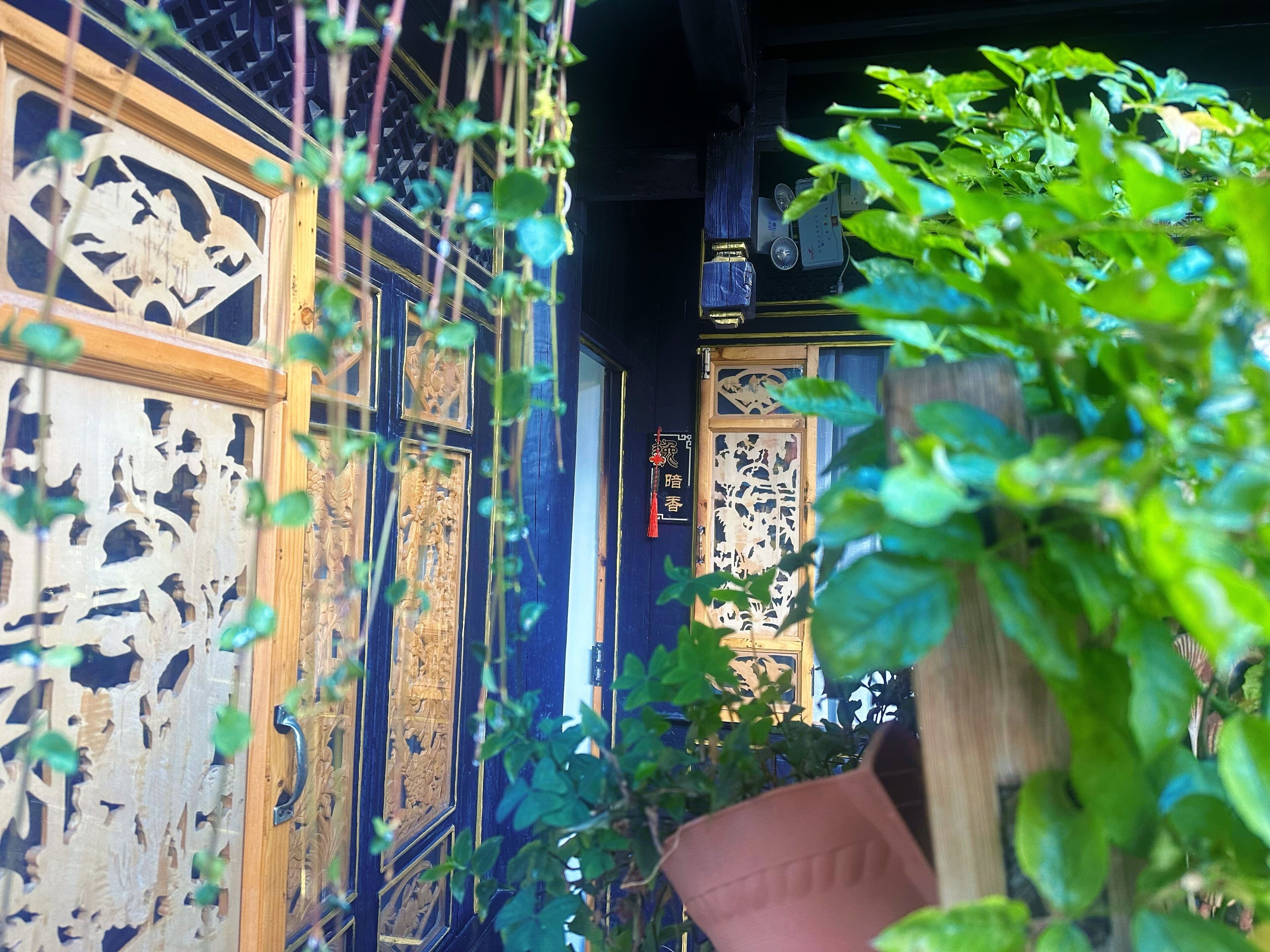 A traditional wooden door with intricate carvings, a potted plant in the foreground, and a dark blue wall with a decorative panel.