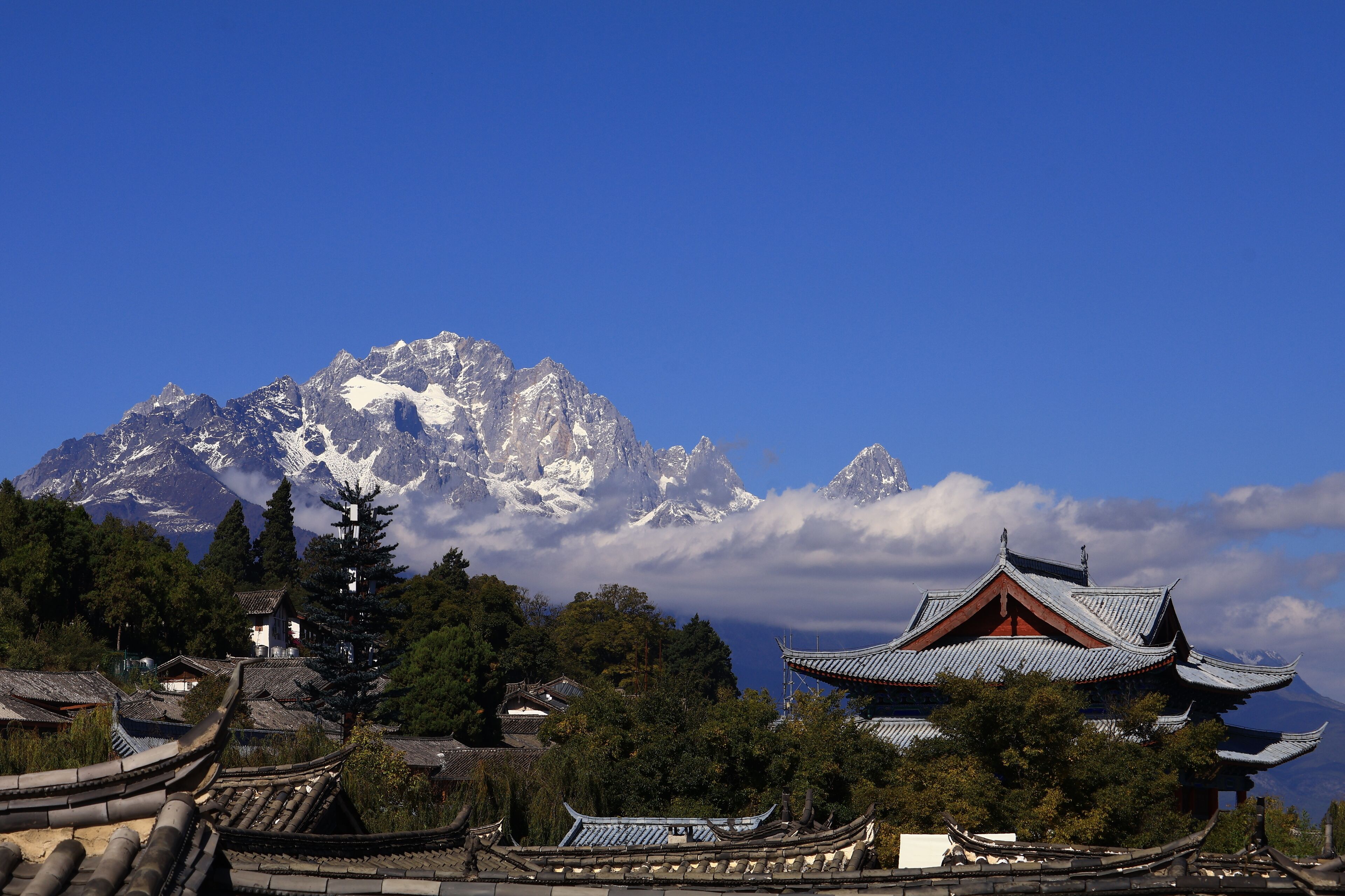 Un edificio japonés tradicional con techo curvo, rodeado de árboles y montañas al fondo.