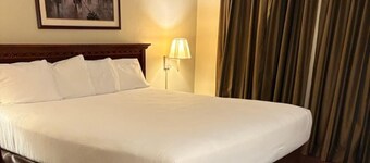 Cozy 1-bedroom apartment in downtown Ottumwa