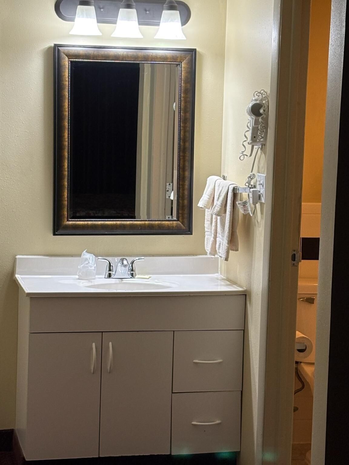 Hair dryer, towels, soap, toilet paper