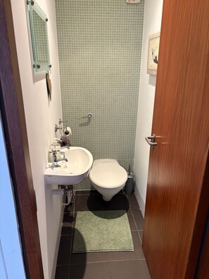 Bathroom - Unique Duplex Apartment in the Heart of Dalkey With 2 Luxurious Bedrooms (Dublin)