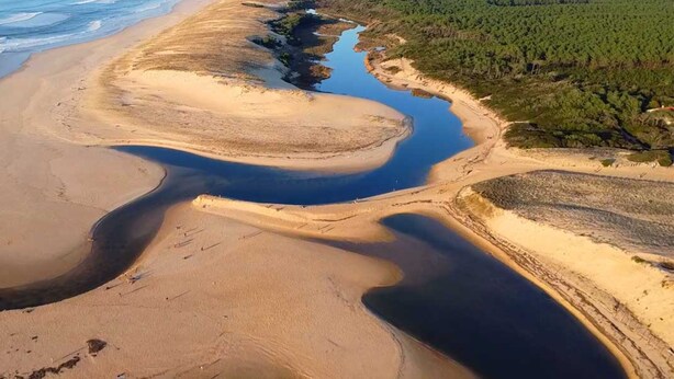 An aerial view of a coastal landscape with sand dunes, a beach, and a forested area.