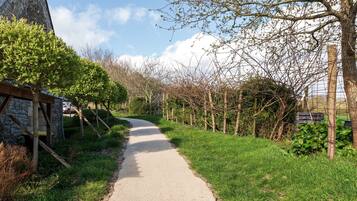 Área da propriedade