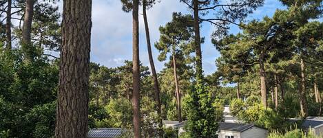 Overnatningsstedets område