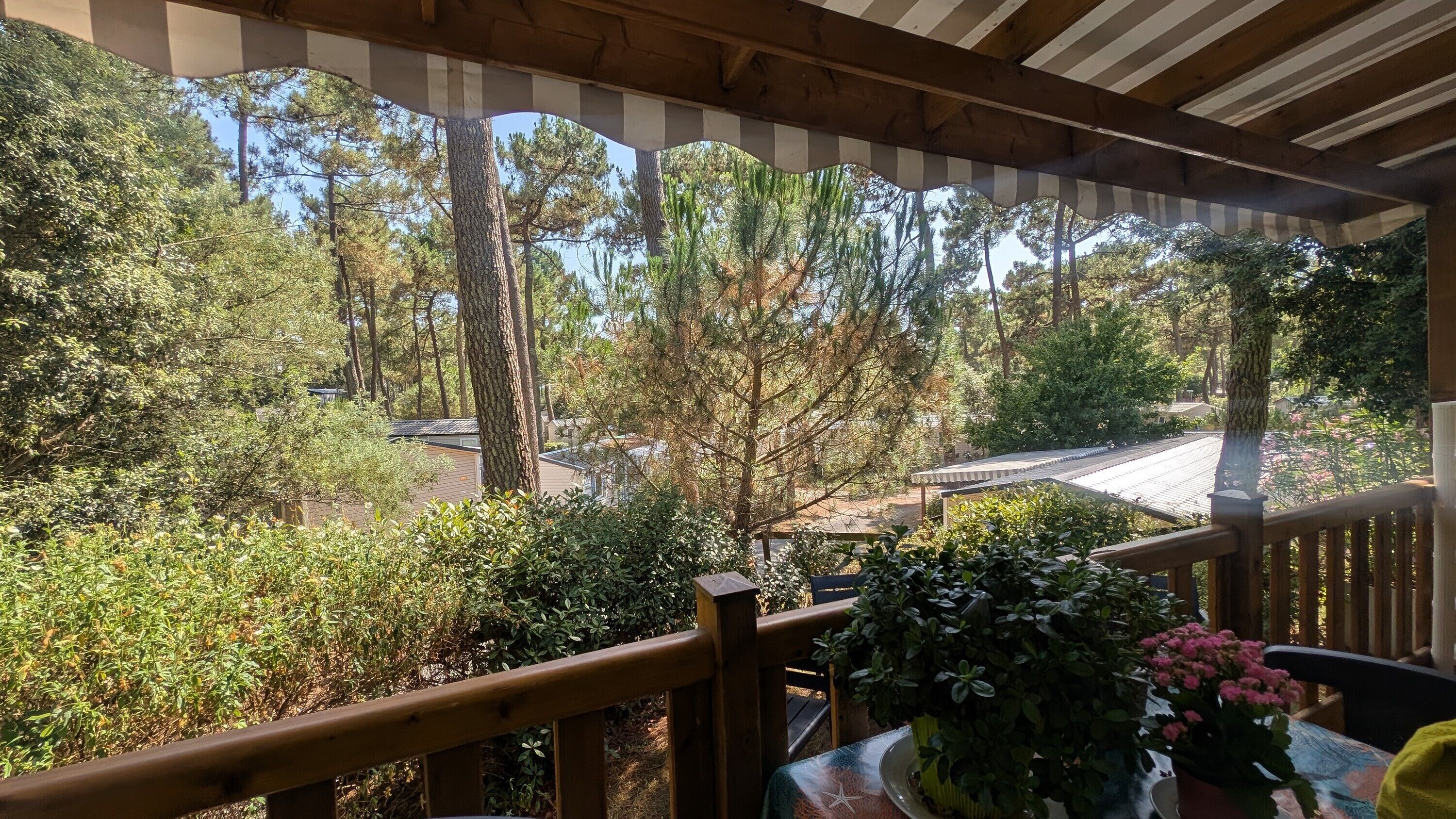 屋外ダイニングエリア