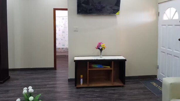 Un salon doté d’un téléviseur à écran plat fixé au mur, d’une petite console sur laquelle est posé un vase de fleurs, et d’une porte avec un paillasson.