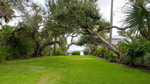 Un sendero de césped que conduce a un edificio blanco con un árbol grande en el centro.