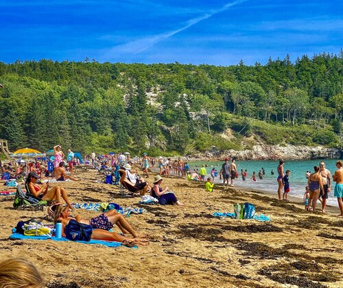 Mattawamkeag River Cottage