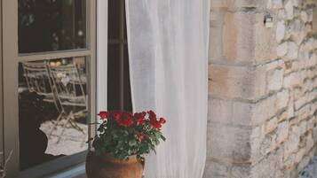 Detalle del exterior