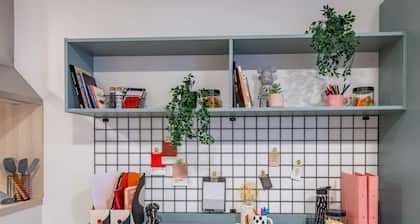 Student Only The Brook