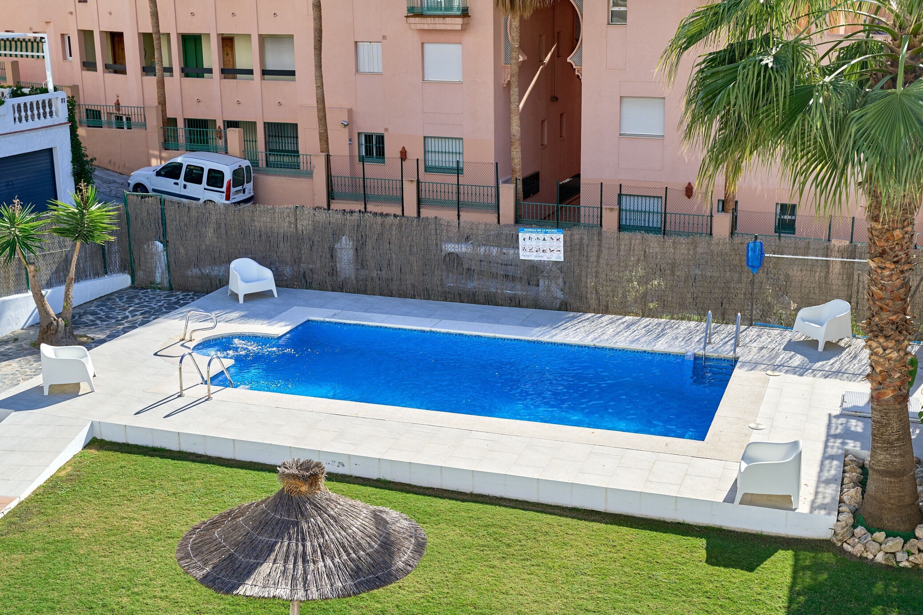 A swimming pool with a palm tree, a white chair, and a white van parked nearby.
